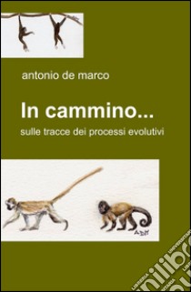 In cammino... libro di De Marco Antonio