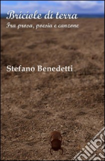 Briciole di terra libro di Benedetti Stefano