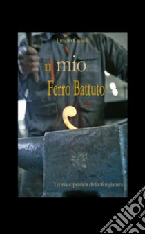 Il mio ferro battuto libro di Castelli Emidio