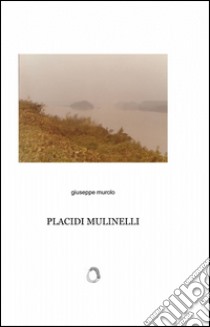 Placidi mulinelli libro di Murolo Giuseppe