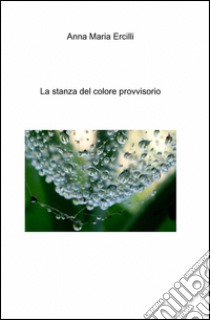 La stanza del colore provvisorio libro di Ercilli Anna M.