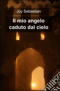 Il mio angelo caduto dal cielo libro di Joy Sebastian