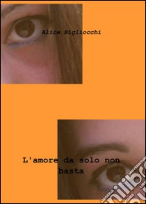 L'amore da solo non basta libro di Bigliocchi Alice