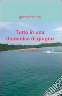 Tutto in una domenica di giugno libro di Tosi Giampiero