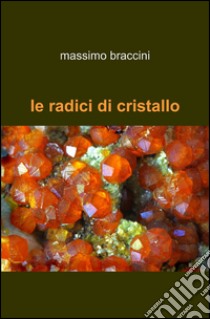 Le radici di cristallo libro di Braccini Massimo