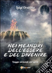 Nei meandri dell'essere e del divenire libro di Orabona Luigi