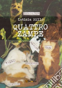 Quattro zampe libro di Rillo Letizia