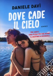 Dove cade il cielo libro di Davi Daniele