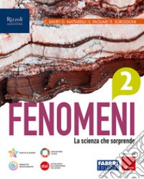 FENOMENI VOLUME 2 libro di BANFI B - MATTARELLI D - PAGLIRI E