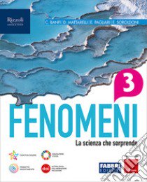 FENOMENI VOLUME 3 libro di BANFI B - MATTARELLI D - PAGLIRI E