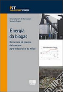 Energia da biogas libro di Castelli de Sannazzaro Silvana; Segato Samuele