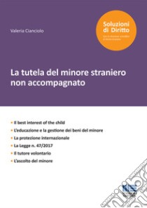 La tutela del minore straniero non accompagnato libro di Cianciolo Valeria