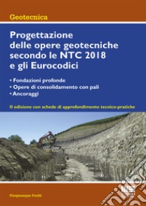 Progettazione delle opere geotecniche secondo le NTC 2018 e gli Eurocodici libro di Froldi Piergiuseppe