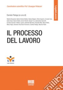 Il processo del lavoro libro di Paliaga D. (cur.)