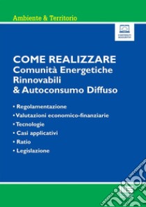 Come realizzare comunità energetiche rinnovabili & autoconsumo diffuso. Regolamentazione, valutazioni economico-finanziarie, tecnologie, casi applicativi, ratio e legislazione. Con espansione online libro di Berardi Lucio; Cambiaso Fabiana