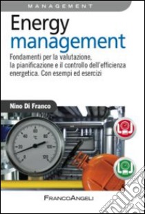 Energy management. Fondamenti per la valutazione, la pianificazione e il controllo dell'efficienza energetica. Con esempi ed esercizi libro di Di Franco Nino