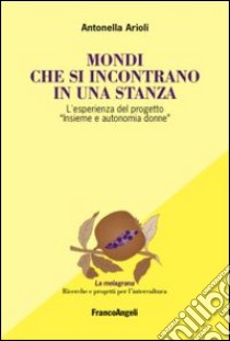 Mondi che si incontrano in una stanza. L'esperienza del progetto «Insieme e autonomia donne» libro di Arioli Antonella