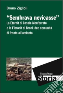 Sembrava nevicasse. La Eternit di Casale Monferrato e la Fibronit di Broni: due comunità di fronte all'amianto libro di Ziglioli Bruno