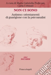 Non ci sono. Autismo: orientamenti di guarigione con la psicoanalisi libro di Pediconi M. G. (cur.); Urbinati C. (cur.)