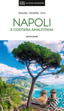 Napoli e costiera amalfitana libro