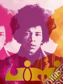 Jimi. Ediz. illustrata libro di Hendrix Janie L.; McDermott John