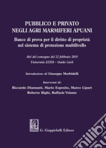 Pubblico e privato negli agri marmiferi apuani. Banco di prova per il diritto di proprietà nel sistema di protezione multilivello. Atti del Convegno (22 febbraio 2019) libro di Esposito Mario; Lipari Marco; Volante Raffaele