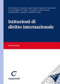 Istituzioni di diritto internazionale libro