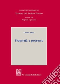 Proprietà e possesso libro di Salvi Cesare