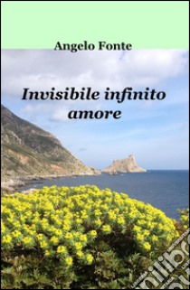 Invisibile infinito amore libro di Fonte Angelo