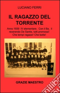 Il ragazzo del torrente libro di Ferri Luciano