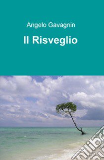 Il risveglio libro di Gavagnin Angelo