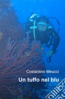 Un tuffo nel blu libro di Meucci Costantino