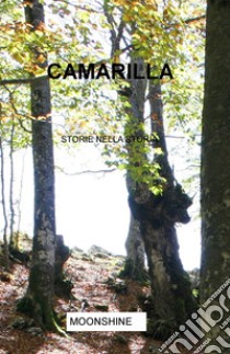 Camarilla. Storie nella storia libro di Esposito Raffaella