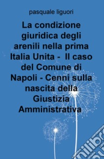 La condizione giuridica degli arenili nella prima Italia unita. Il caso del Comune di Napoli. Cenni sulla nascita della giustizia amministrativa libro di Liguori Pasquale