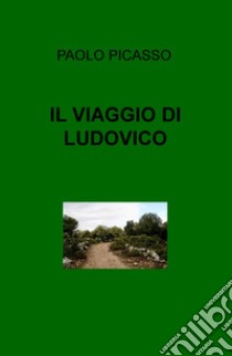 Il viaggio di Ludovico libro di Picasso Paolo