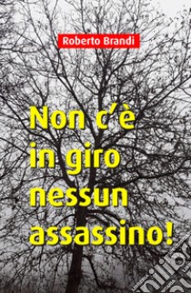 Non c'è in giro nessun assassino! libro di Brandi Roberto