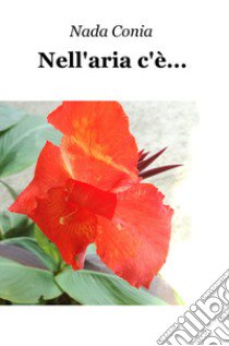 Nell'aria c'e... libro di Nada Conia