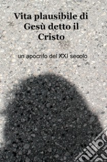 Vita plausibile di Gesu detto il Cristo libro di Apocrifo del XXI secolo