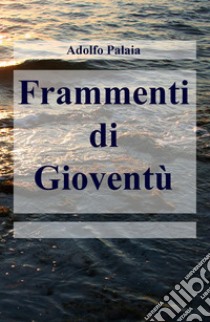 Frammenti di gioventù libro di Palaia Adolfo