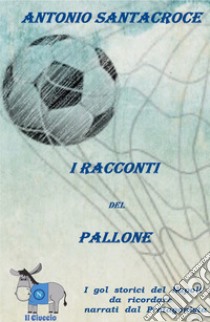 «I racconti del pallone». I gol più belli della storia del Napoli raccontati dal protagonista principale: il pallone libro di Santacroce Antonio