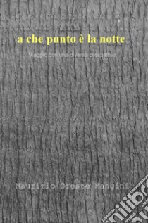 a che punto e la notte. Viaggio con una diversa prospettiva libro di Mangini Maurizio Oreste