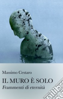 Il muro e solo. Frammenti di eternita libro di Cestaro Massimo