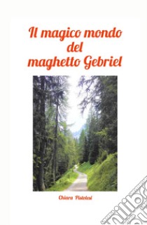 Il magico mondo del maghetto Gebriel libro di Pistolesi Chiara