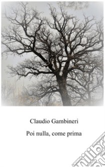 Poi nulla, come prima libro di Gambineri Claudio