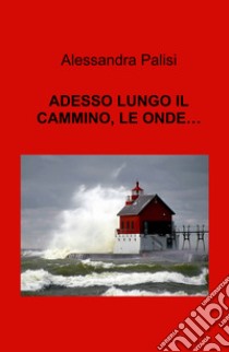 Adesso lungo il cammino, le onde... libro di Palisi Alessandra