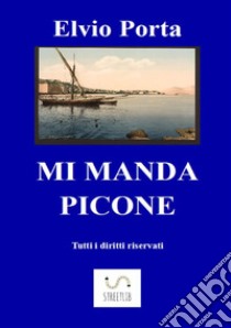 Mi manda Picone libro di Porta Elvio