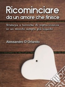 Ricominciare da un amore che finisce libro di D'Orlando Alessandro