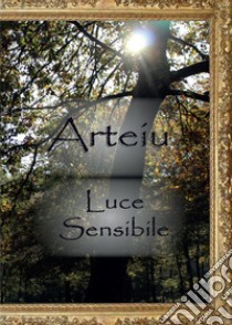 Luce sensibile libro di Arteiu