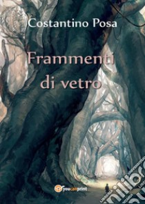 Frammenti di vetro libro di Posa Costantino