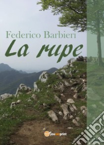 La rupe libro di Barbieri Federico